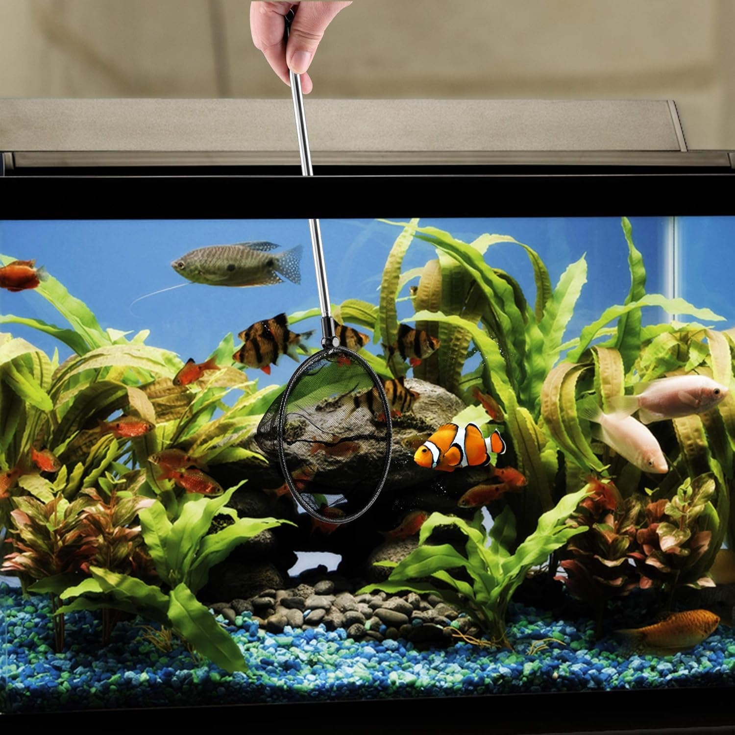 Aquarium Fish Net with Extendable Stainless Steel Long Handle Fine Mesh Net for Fish Tank