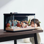 Xiaomi  Smart Fish Tank MYG100 Work with  APP Mobile Controlled Remote Feeding Smart Lighting System Light Aquarium