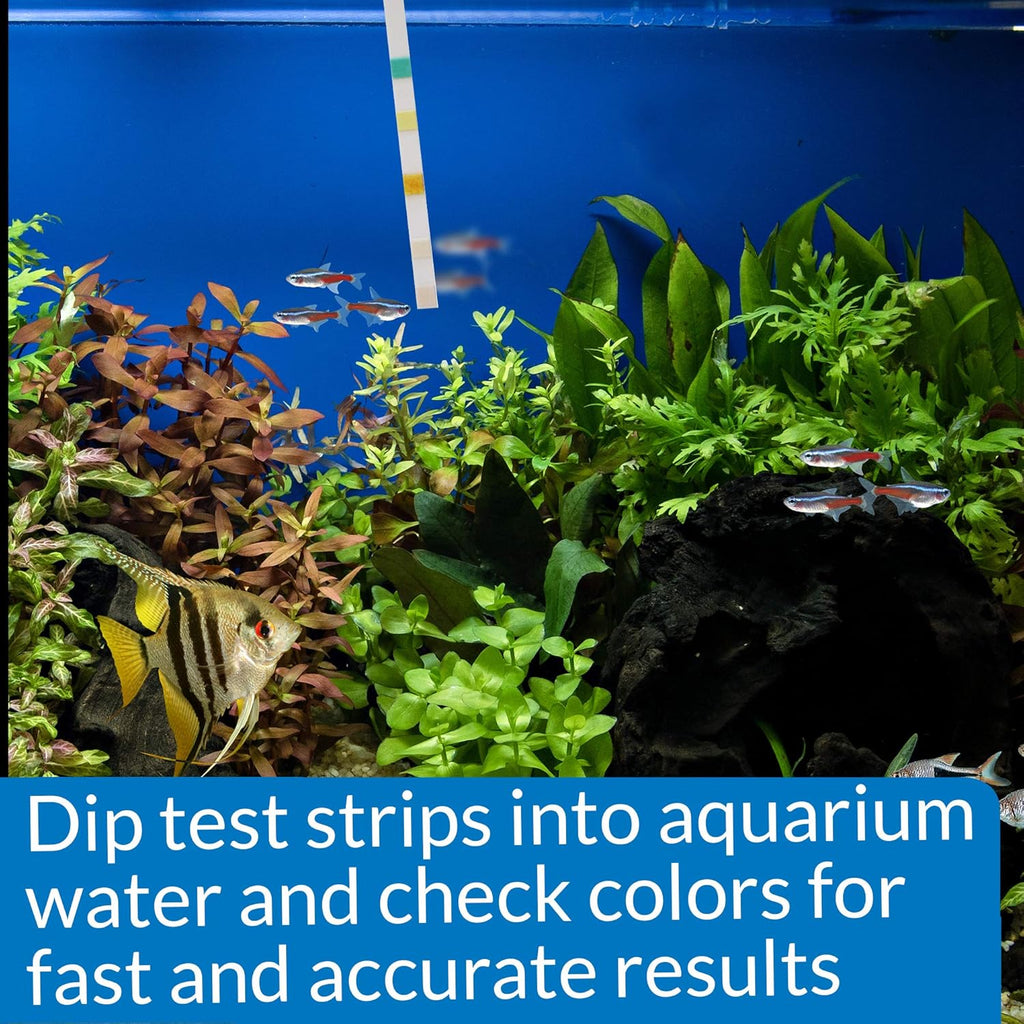 Api Testing Strip Kit API 5-in-1 Aquarium Test Strips – 100 Pack Water Quality Kit – Aquora Tech