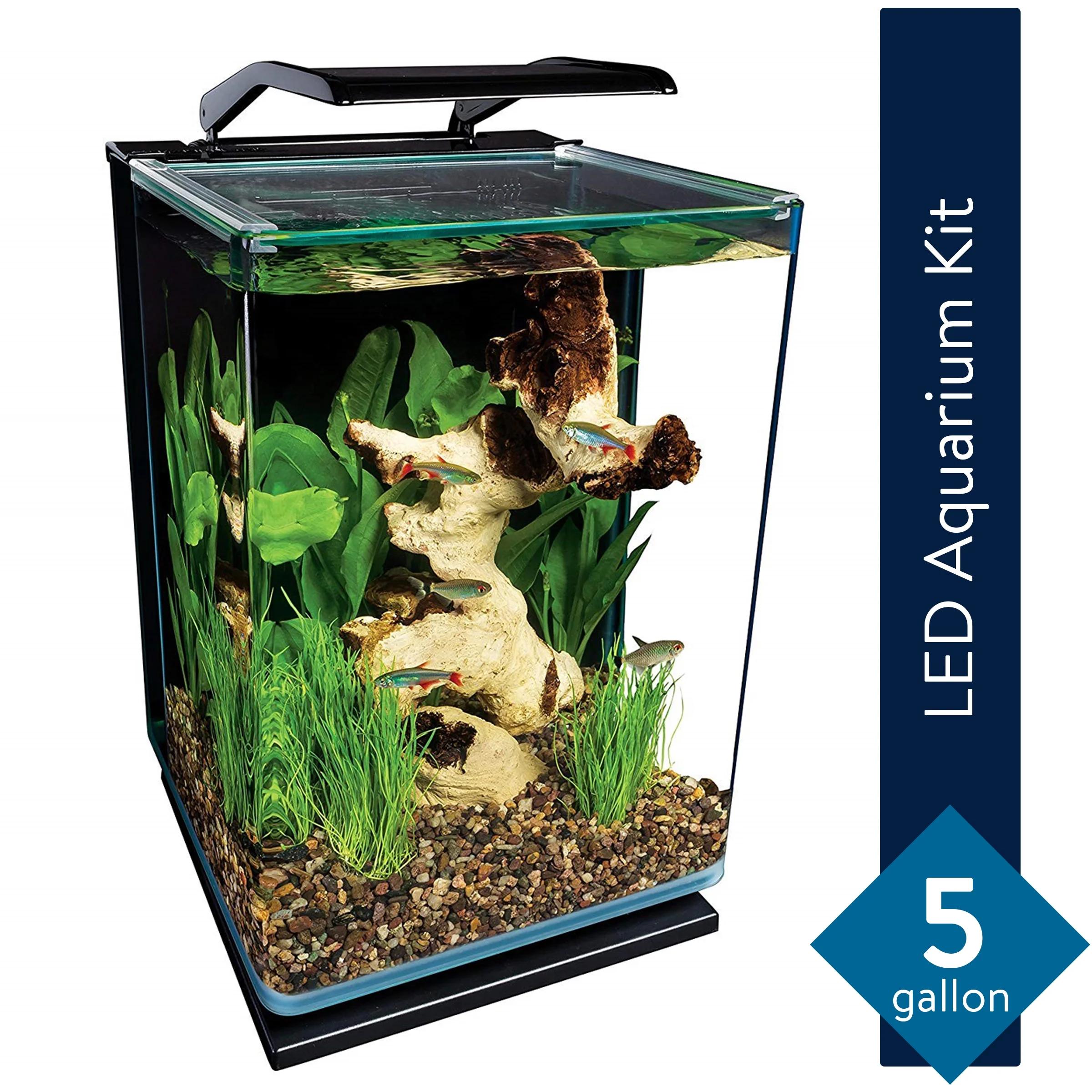 Marineland Portrait 5 Gallon Glass Aquarium Kit with LED Lighting & Hidden 3-Stage Filter