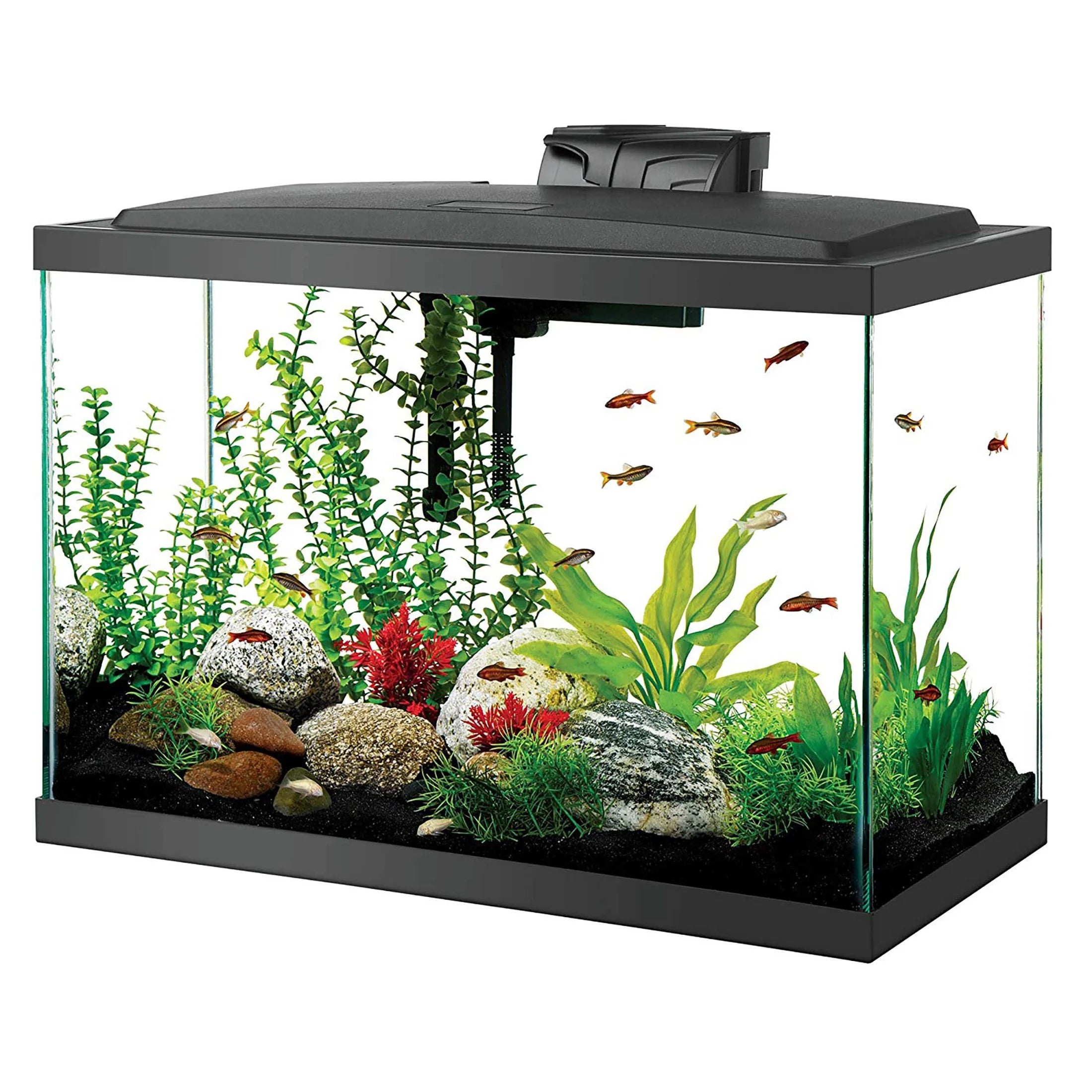 Complete 20" Aquarium Fish Tank Starter Kit with LED Lighting - Perfect for Beginners!-AQUEON