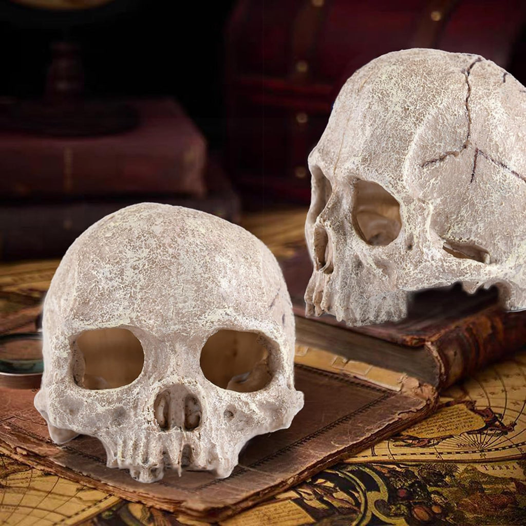 Aquarium Decoration Skull Fish Tank Head Skeleton Aquarium Decorative Cave Landscape Pet Reptile House