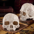 Aquarium Decoration Skull Fish Tank Head Skeleton Aquarium Decorative Cave Landscape Pet Reptile House