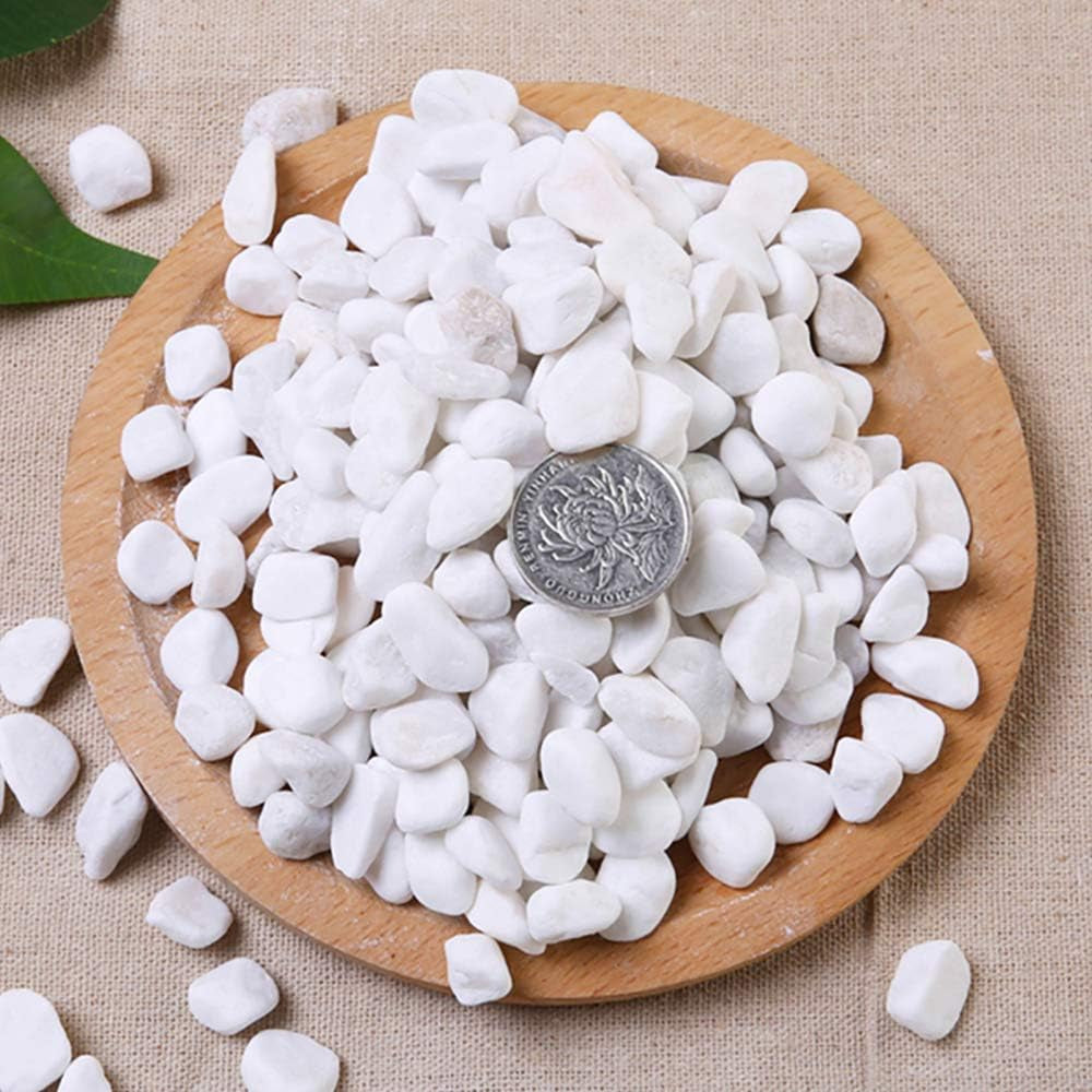1 Lb/460G White Stones Decorative Pebble Rock Sand for Aquarium/Fish Turtle Tank/Vase Filler/Succulent Plants Decoration (Fill 1 Cup)