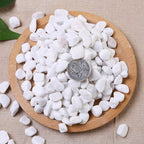 1 Lb/460G White Stones Decorative Pebble Rock Sand for Aquarium/Fish Turtle Tank/Vase Filler/Succulent Plants Decoration (Fill 1 Cup)