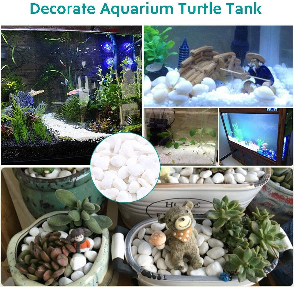 1 Lb/460G White Stones Decorative Pebble Rock Sand for Aquarium/Fish Turtle Tank/Vase Filler/Succulent Plants Decoration (Fill 1 Cup)