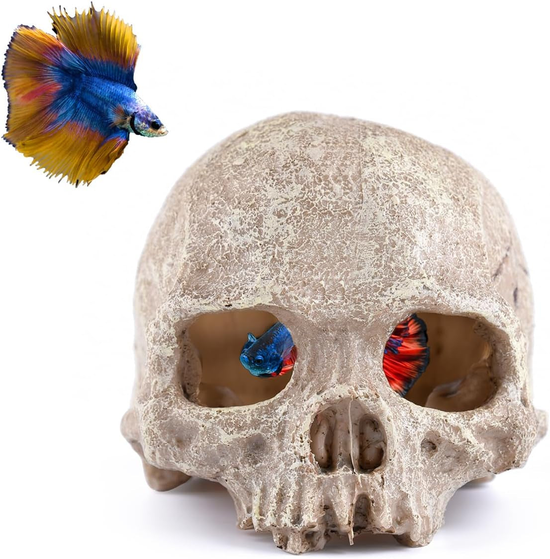 Aquarium Decoration Skull Fish Tank Head Skeleton Aquarium Decorative Cave Landscape Pet Reptile House