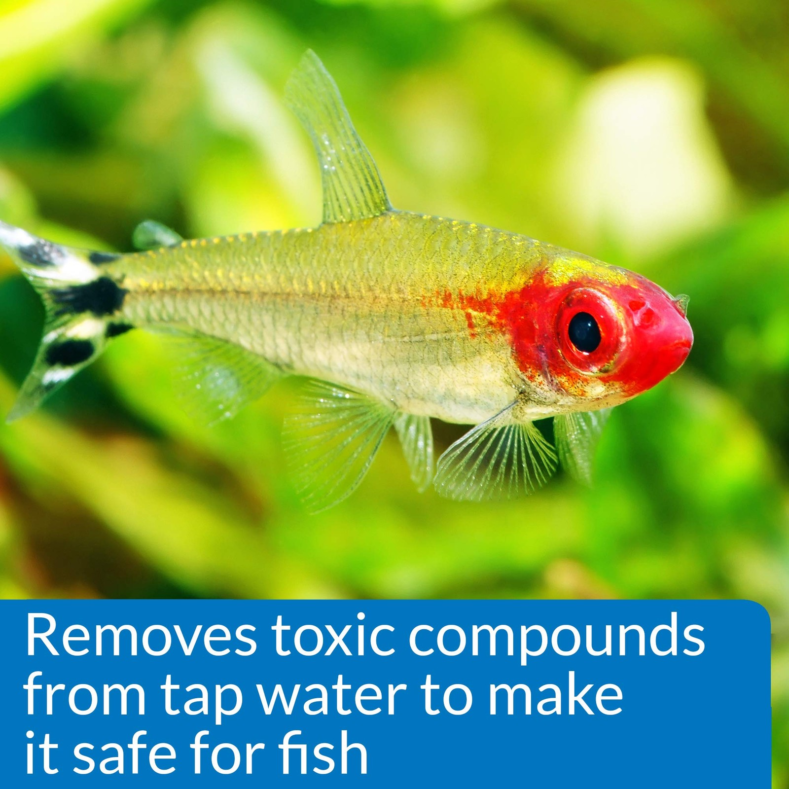 API Proper pH 7.0 – Freshwater pH Stabilizer (8.8 oz)