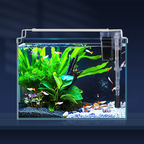 Premium 3-Gallon Rimless Aquarium Kit