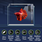 Premium 3-Gallon Rimless Aquarium Kit