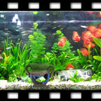 1Pc Resin Vase with Moss Aquarium Decoration Accessories for Fish Shrimp Tank Landscape Ornaments