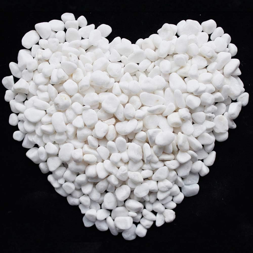 1 Lb/460G White Stones Decorative Pebble Rock Sand for Aquarium/Fish Turtle Tank/Vase Filler/Succulent Plants Decoration (Fill 1 Cup)