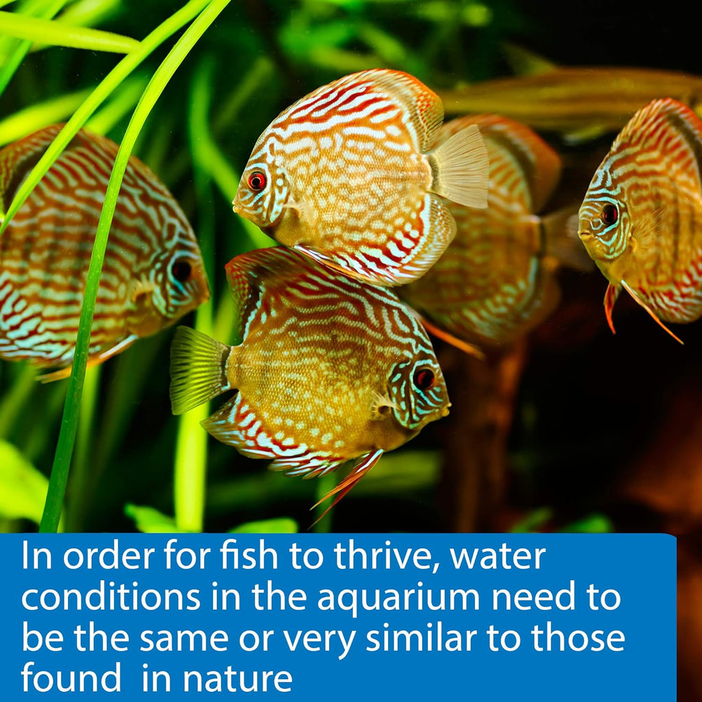 5-IN-1 TEST STRIPS Freshwater and Saltwater Aquarium Test Strips 100-Count Box