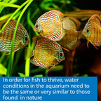 5-IN-1 TEST STRIPS Freshwater and Saltwater Aquarium Test Strips 100-Count Box