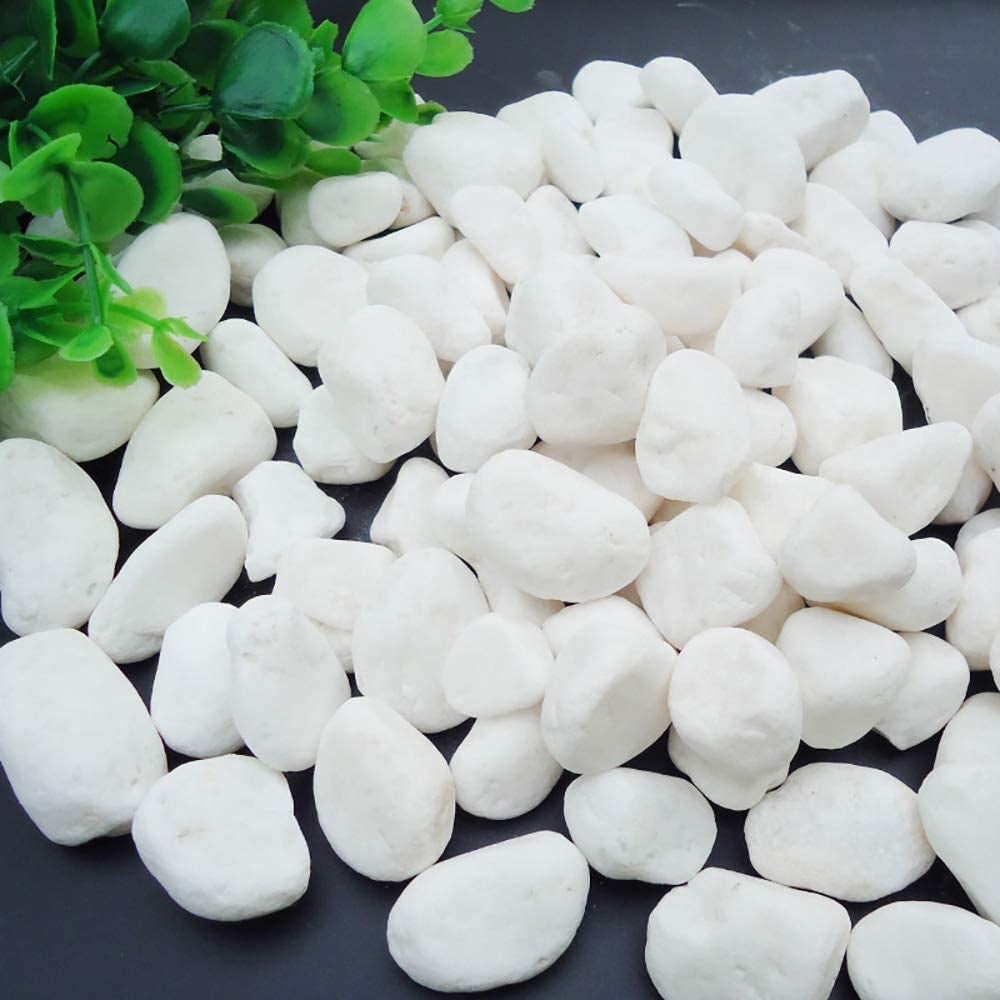 1 Lb/460G White Stones Decorative Pebble Rock Sand for Aquarium/Fish Turtle Tank/Vase Filler/Succulent Plants Decoration (Fill 1 Cup)
