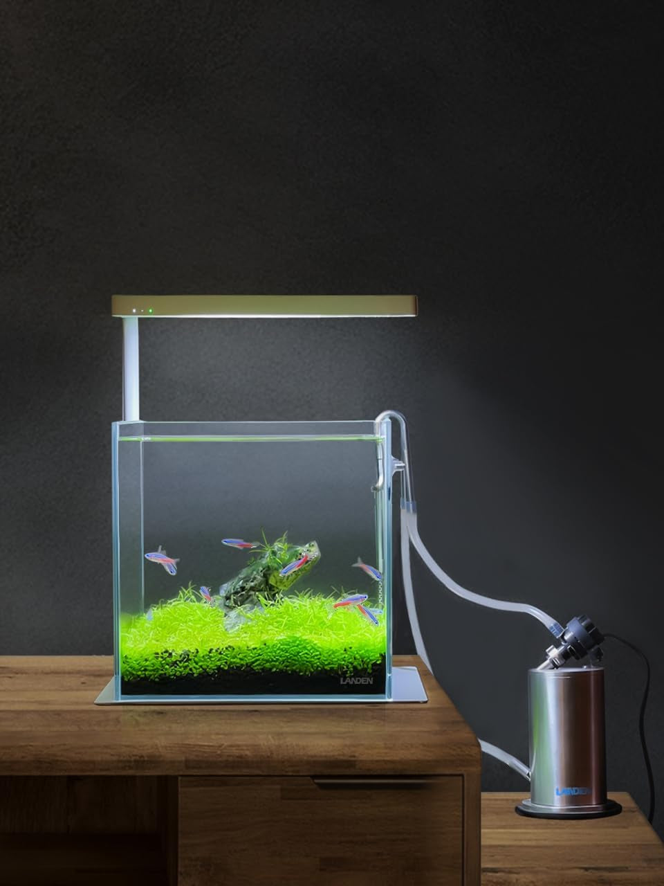 20C 2 Gallon Cube Rimless Low Iron Clear Aquarium Tank, All Glass Aquarium,Small Betta Fish Tank,W7.8×D7.8×H7.8 In(20X20X20Cm) 5Mm Thickness with Nano Foam Leveling Mat